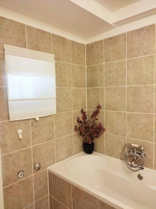 Family Heritage Apartment Split Bagian luar foto